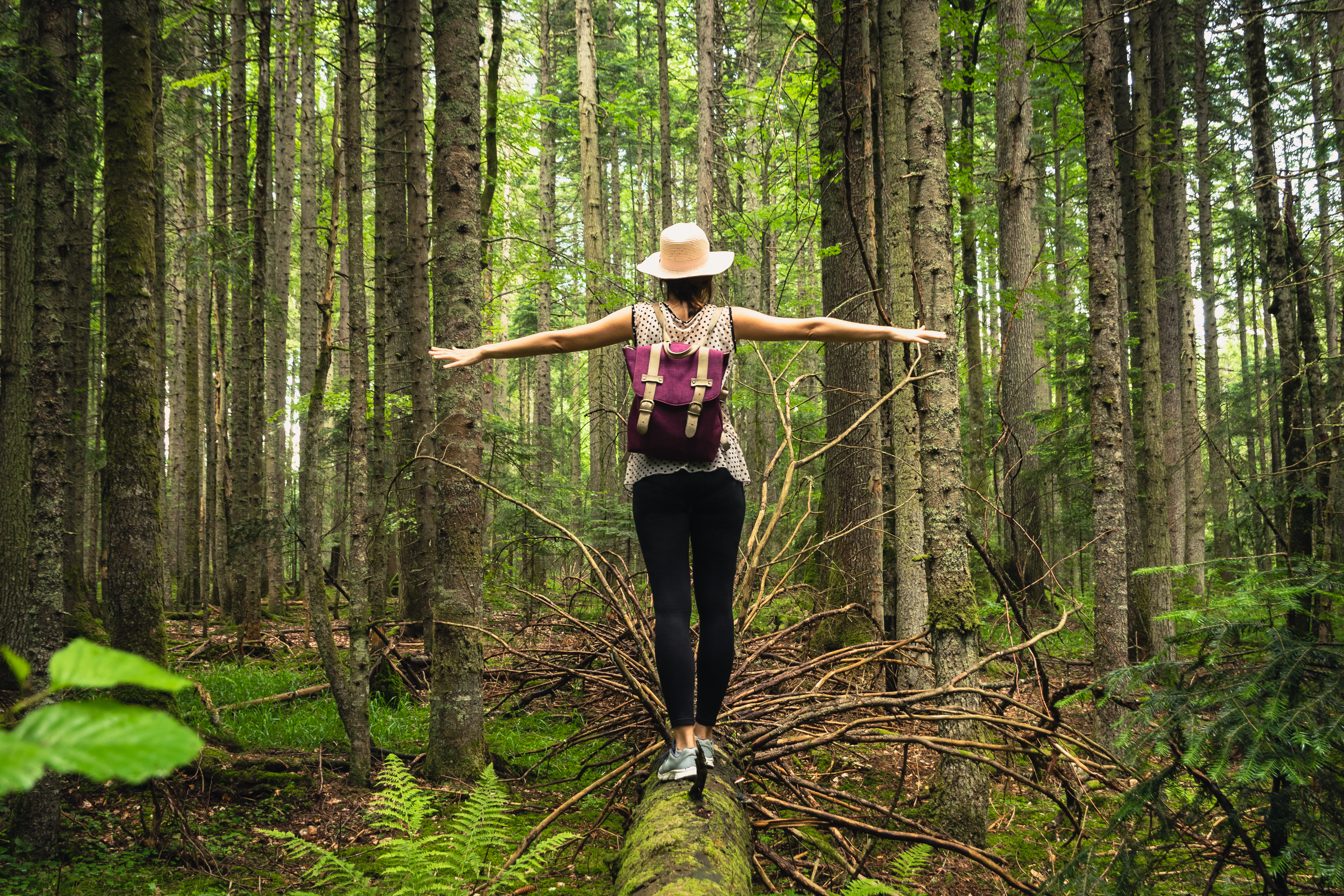 Frau von hinten in einem Wald, die auf einem umgefallenen Baumstamm balanciert.