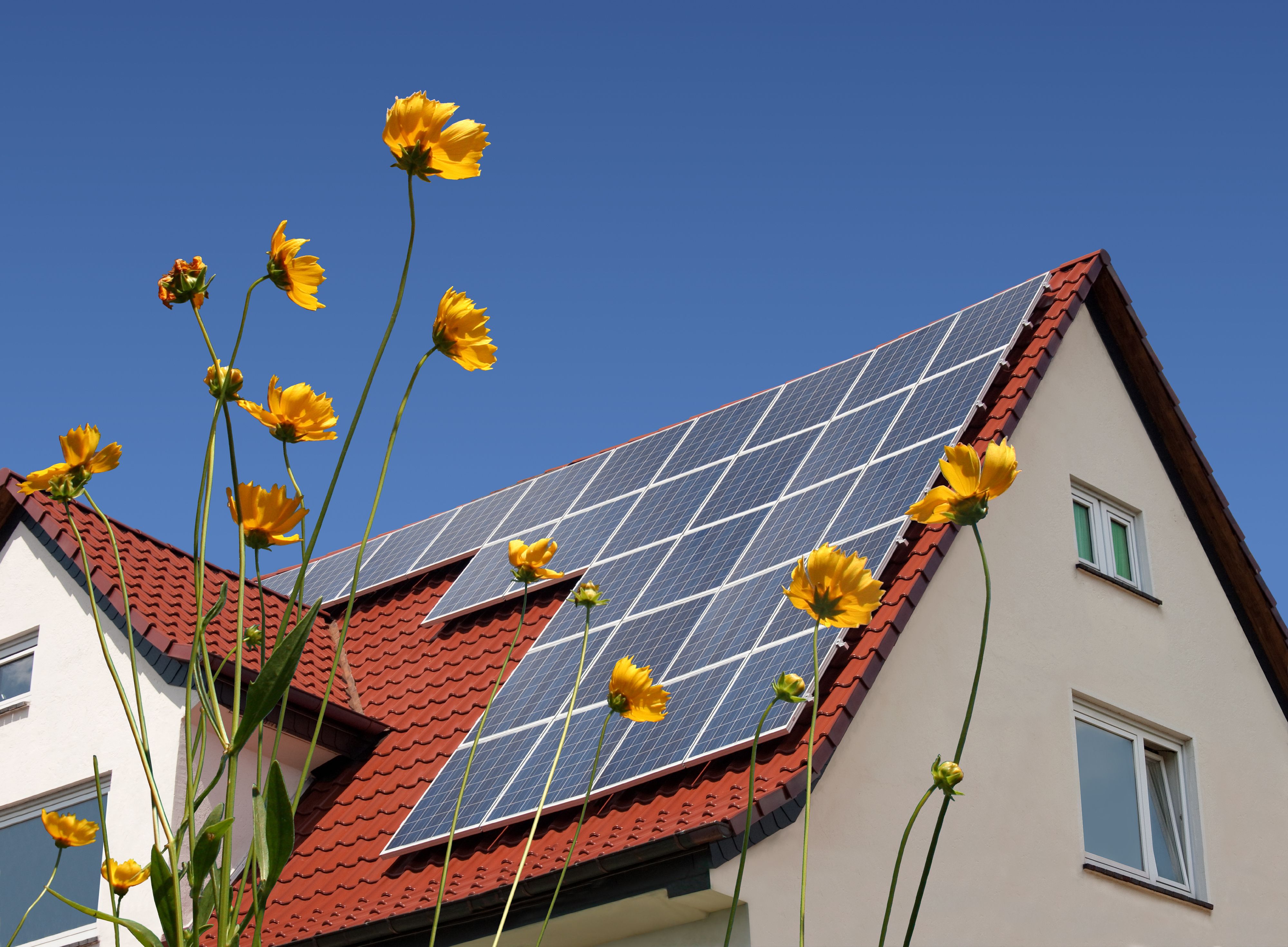 Hausdach mit Solarpanelen im Vordergund sind Blumen