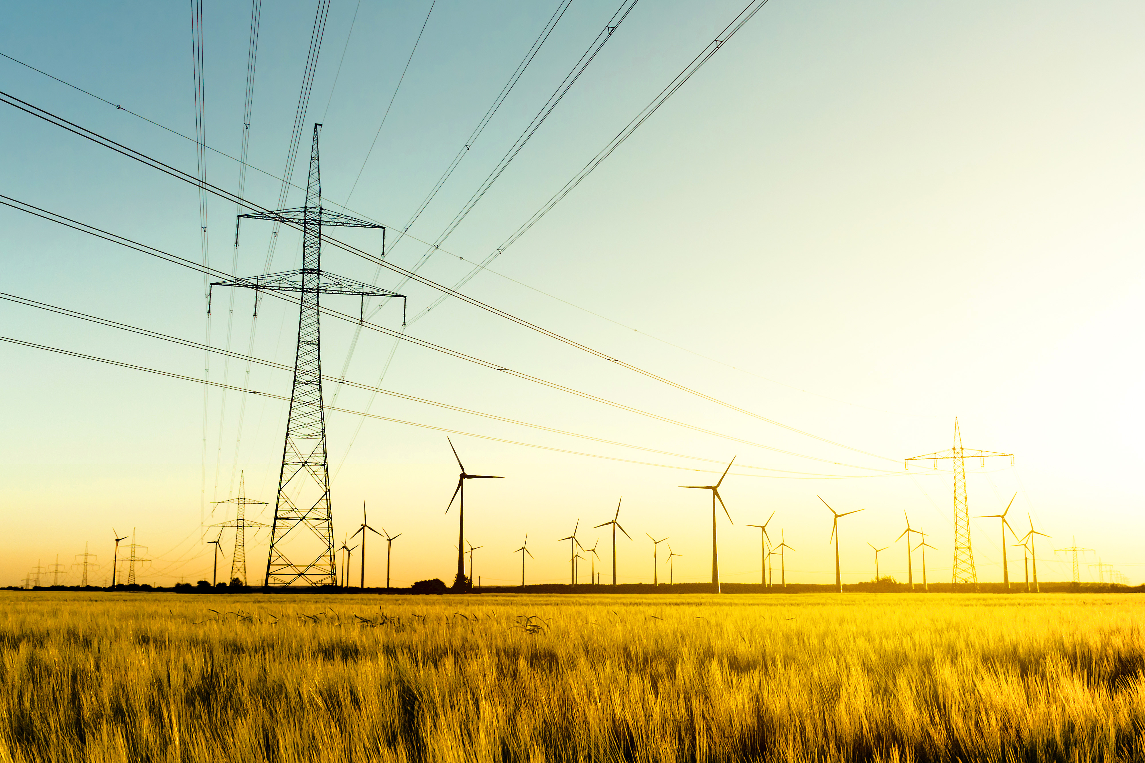 Strommasten und Windräder auf einem Feld