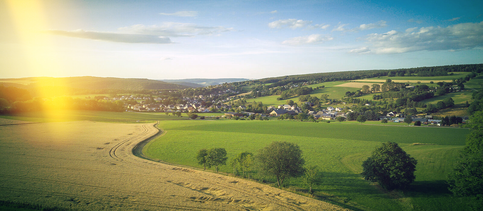 Luftaufnahme Bockau