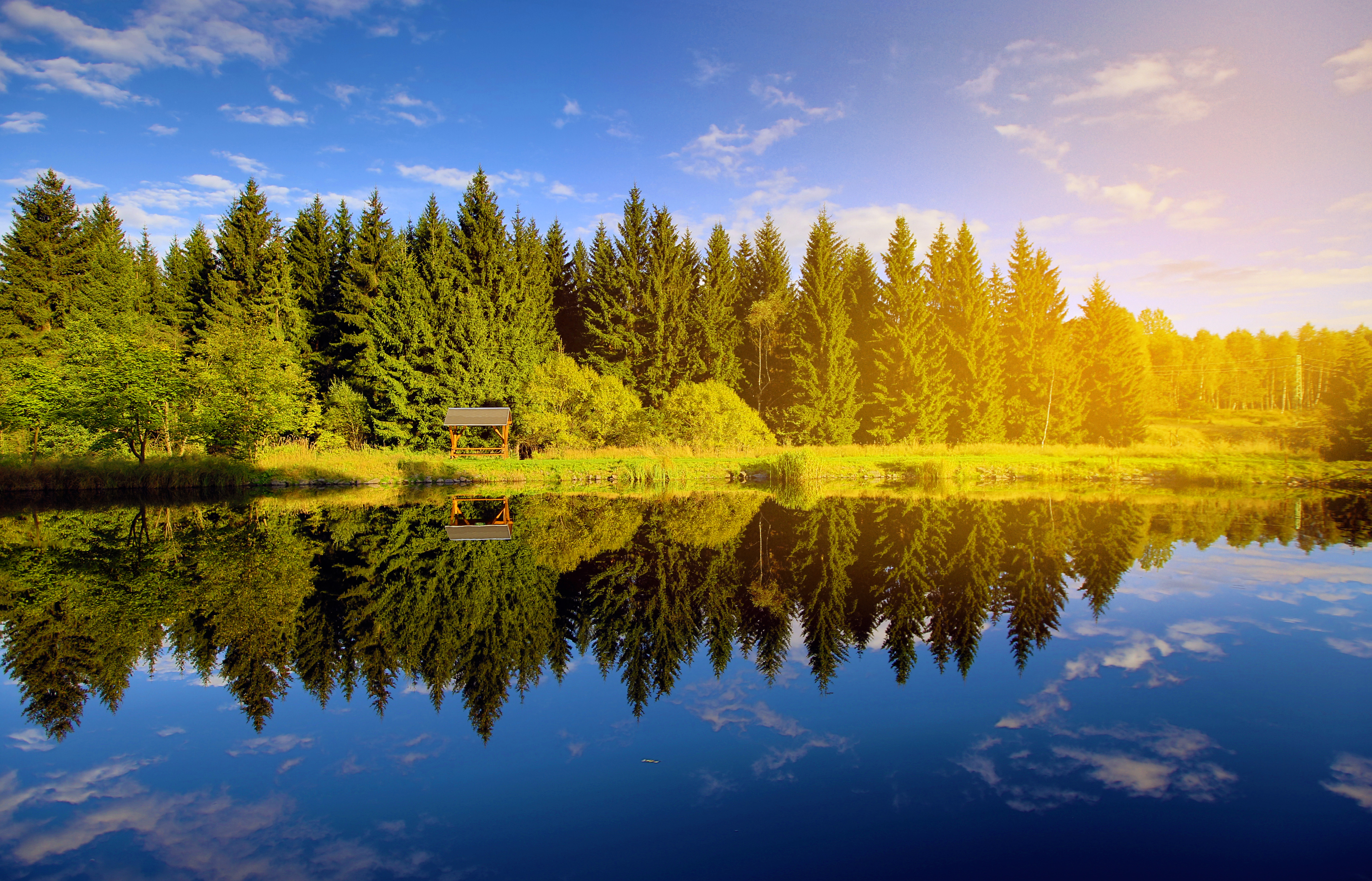 Aufnahme von Elterlein -  Natur.