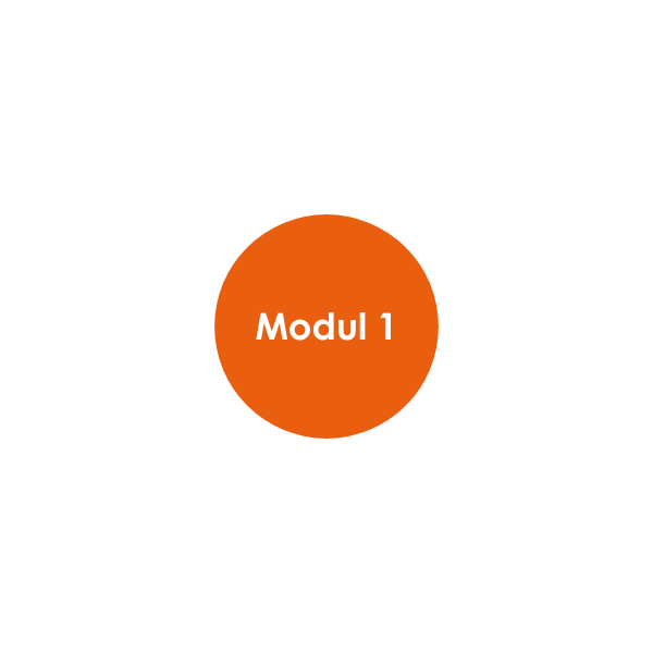 Energiewirtschaftsgesetz Modul 1 Pauschale Reduzierung
